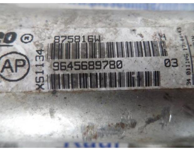 racitor gaze peugeot 407 2.0hdi 9645689780