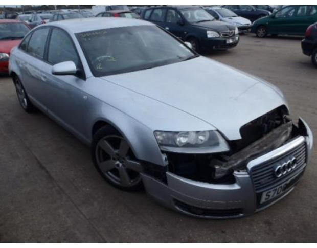 vindem broasca usa spate audi a6 (4f) 2.0tdi bre